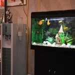 Научно-исследовательская стоматология САМСОН м. Каширская