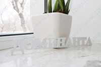 Цифровая стоматология DOMINANTA (ДОМИНАНТА)