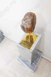 Цифровая стоматология DOMINANTA (ДОМИНАНТА)