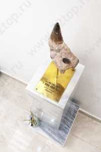 Цифровая стоматология DOMINANTA (ДОМИНАНТА)