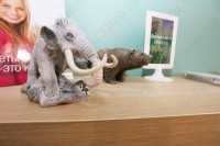 Цифровая стоматология DOMINANTA (ДОМИНАНТА)