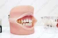 Цифровая стоматология DOMINANTA (ДОМИНАНТА)