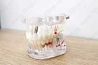 Цифровая стоматология DOMINANTA (ДОМИНАНТА)