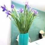 Цифровая стоматология DOMINANTA (ДОМИНАНТА)