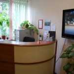 Стоматология ЗУБНАЯ ФЕЯ м. Проспект Просвещения