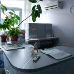 Стоматология ВАЛЕОДЕНТ ПЛЮС м. Проспект Ветеранов