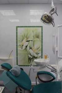 Стоматология КАМЕЯ+