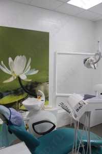 Стоматология КАМЕЯ+