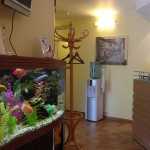 Стоматологическая клиника ЭДЕМ м. Озерки