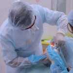 Стоматология DIAMANT (ДИАМАНТ) на Победы