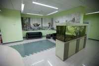 Стоматологическая клиника ДЕНТАЛ-ЛЮКС на Николая Гондатти