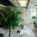 ЧАСТНАЯ ПРАКТИКА ДОКТОРА ДАДАШОВА м. Селигерская