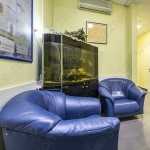 Лечебно-диагностическая сеть клиник ОРИС м. Теплый Стан