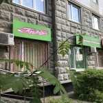 Детские медицинские центры PREAMBULA (ПРЕАМБУЛА) м. Котельники