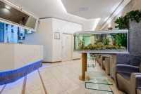 Центр несъемного зубного протезирования ОЛЛ-ОН-4 (ALL-ON-4) м. Петроградская