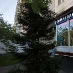 Стоматологический центр ГАЯНЭ м. Пятницкое шоссе