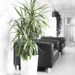 Стоматология МОСКОВСКИЙ 97