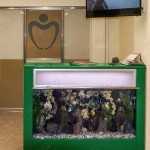 Частная стоматология ВАШ ДАНТИСТ на Грдины