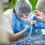 Сеть стоматологических центров ЗДОРОВАЯ УЛЫБКА м. Селигерская