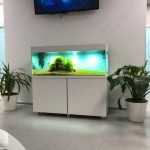 Центр семейной стоматологии ВИОЛА