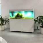 Центр семейной стоматологии ВИОЛА