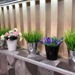 Центр семейной стоматологии ВИОЛА