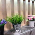 Центр семейной стоматологии ВИОЛА