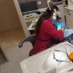 Клиника авторской стоматологии САПФИР ДЕНТАЛ КЛИНИК (САПФИР DENTAL CLINIC)