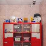 Система клиник АССОЦИАЦИЯ СТОМАТОЛОГОВ САНКТ-ПЕТЕРБУРГА м. Комендантский проспект