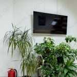 Стоматология ДЕЛЬ-РИО м. Проспект Большевиков