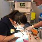 Семейная зубная клиника ЩЕЛКУНЧИК м. Коптево