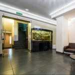 Сеть стоматологических центров ELISABETH DENT (ЭЛИЗАБЕТ ДЕНТ)