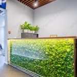 Инновационная стоматологическая клиника ECLINIC (ЕКЛИНИК) м. Комендантский проспект