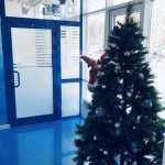 Сеть стоматологических клиник УЛЫБКА на Шахтёров