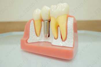 Стоматология ДАРВИК