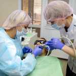 Стоматология MIA DENT (МИА ДЕНТ)