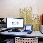 Стоматология НИКА ДЕНТАЛЬ