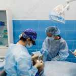 Стоматология для всей семьи BEST FAMILY (БЕСТ ФЭМИЛИ)