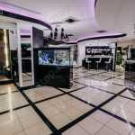 Стоматологическая клиника ЛАБОРАТОРИЯ УЛЫБОК DR. ELMAR м. Фрунзенская