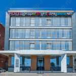 Стоматологическая клиника DЕНТАЛ АРТ (ДЕНТАЛ АРТ) в пос. Березовый