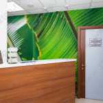 Стоматологическая клиника DЕНТАЛ АРТ (ДЕНТАЛ АРТ) в пос. Березовый