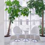 Международные клиники эстетических инноваций МЕДИЭСТЕТИК м. Маяковская