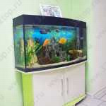 Стоматологическая клиника ТВОЙ СТОМАТОЛОГ м. Авиастроительная