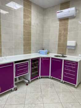 ЭВ-КЛИНИКА м. Южная