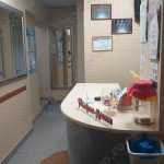 Стоматология СОФИЯ-ДЕНТА на Гагарина