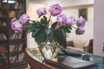 Центр приватной стоматологии ДОКТОР ЛЕВИН м. Парк Культуры