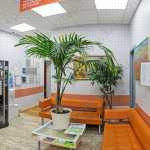 Сеть стоматологических клиник ЗУБ.РУ м. Марксистская