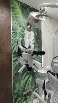 СТОМАТОЛОГИЧЕСКАЯ КЛИНИКА НАТАЛЬИ РАПУТА м. Обводный канал