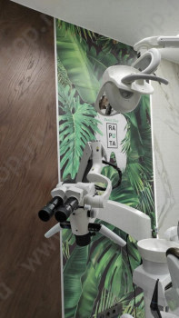 СТОМАТОЛОГИЧЕСКАЯ КЛИНИКА НАТАЛЬИ РАПУТА м. Обводный канал