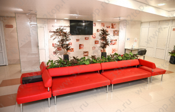 СОЦИАЛЬНАЯ СТОМАТОЛОГИЯ БЕЛОГОРЬЯ на Ольминского